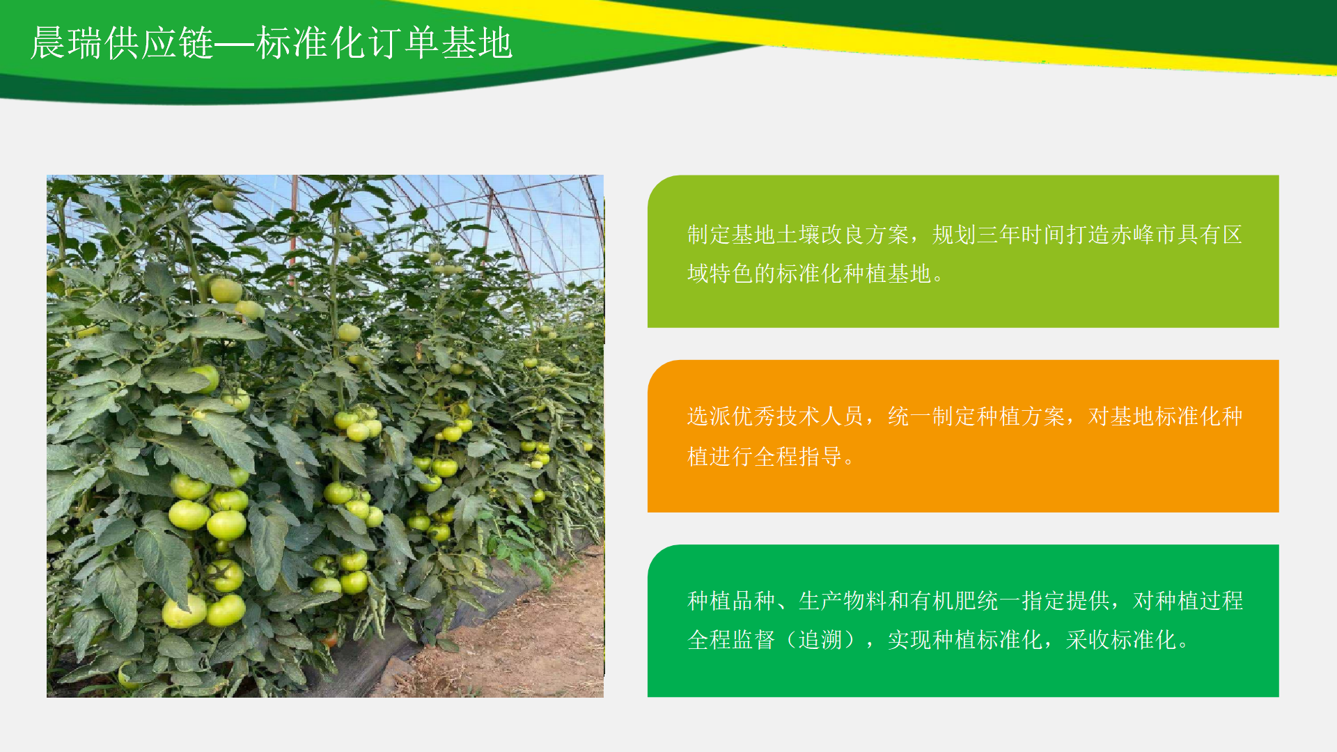 晨瑞供应链PPT9.1_07(1).png