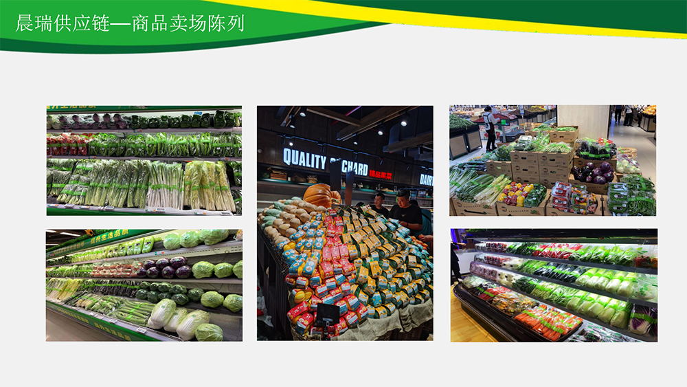 晨瑞供应链PPT9.1_11(1).png