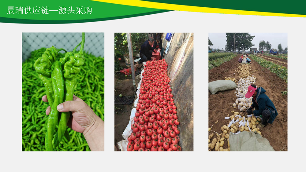 晨瑞供应链PPT9.1_12(1).png